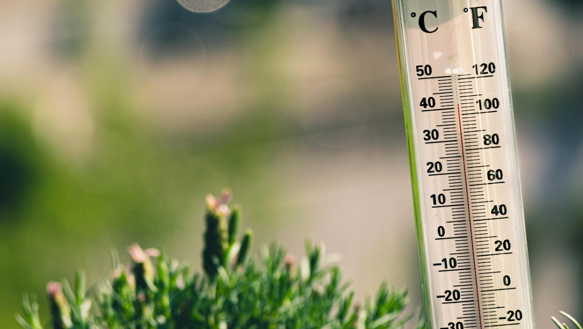 Så hanterar vi värmeböljan i sommar!