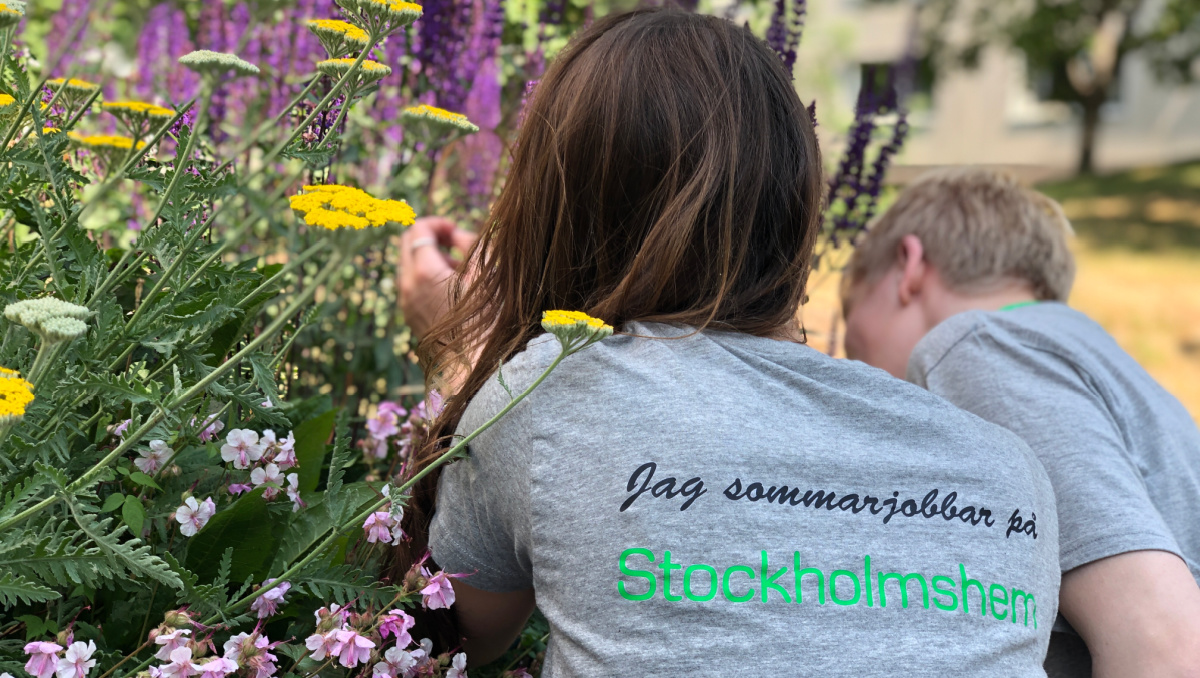 Nytt arbetssätt ger lyft för både sommarjobbare och förvaltning