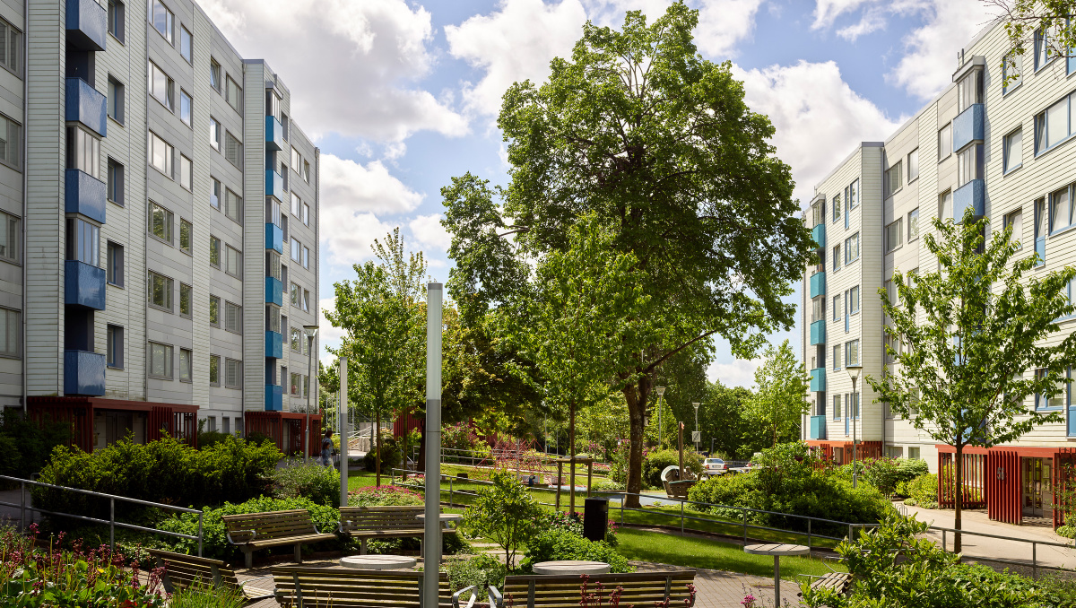 Hela Familjebostäder gick ut och planterade 23 nya träd