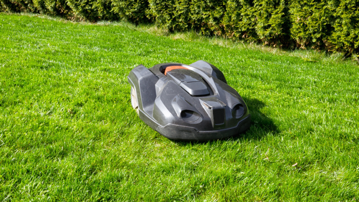 Robotklippare lyfte kvalitet, hållbarhet och driftnetto för Specialfastigheter