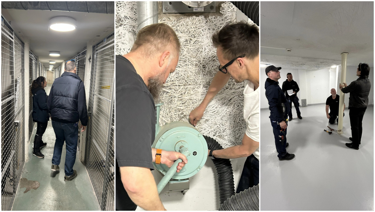 Samordnad rondering ger helhetsbild och kunskapsutbyte